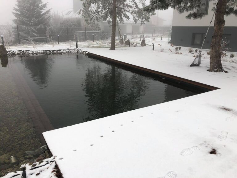 131097893_2539571326335390_968436141522926098_n (1)