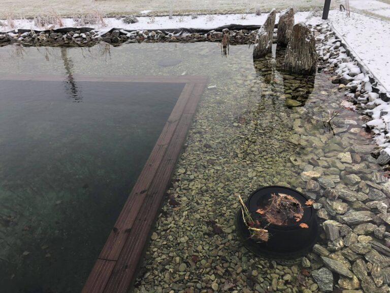 131207091_722046935099376_2950967242542698269_n (1)