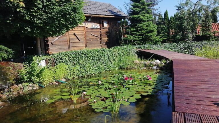 Izolacja oczek wodnych i stawów kąpielowych