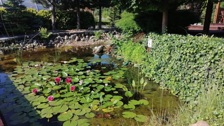 131982581_408848113600576_2434454932309450720_n