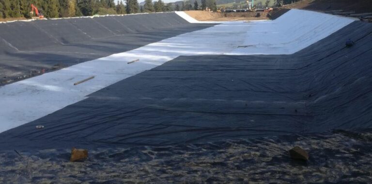 135949337_734339314164859_7380137194613610409_n