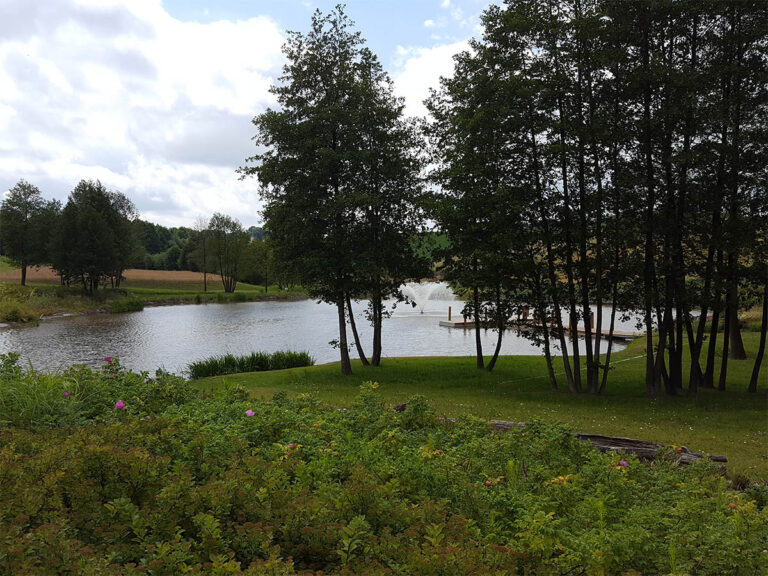 Staw-dekoracyjmy-Blue-Garden-EPDM-2