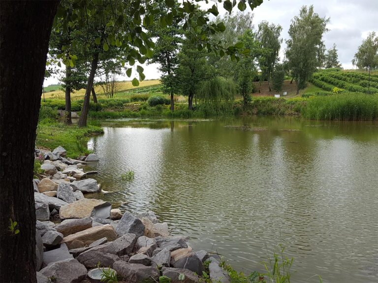 Staw-dekoracyjmy-Blue-Garden-EPDM-4